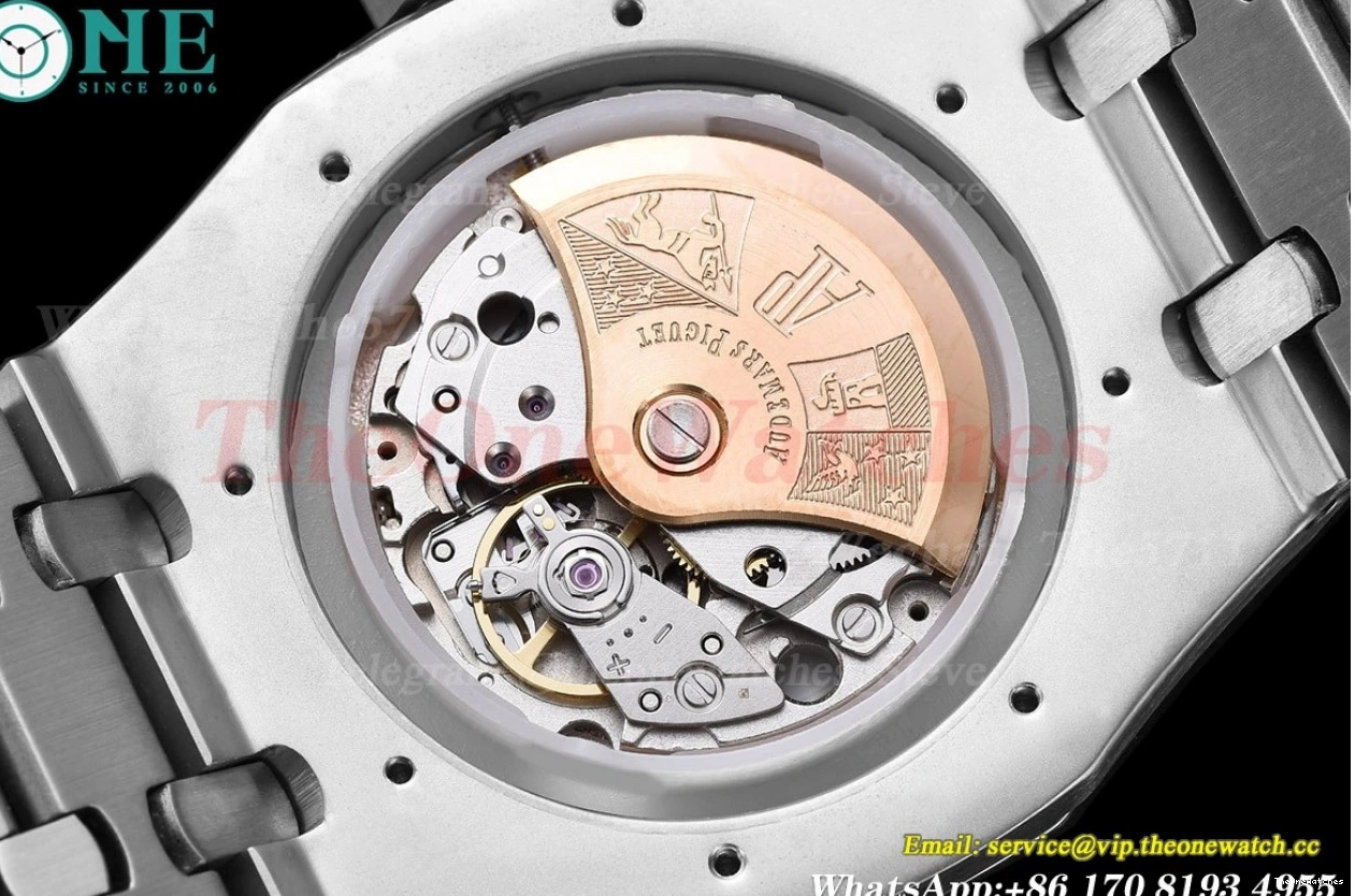41mm SS MY8215 GDF Oak 1017 White Royal SS Dial 0524
